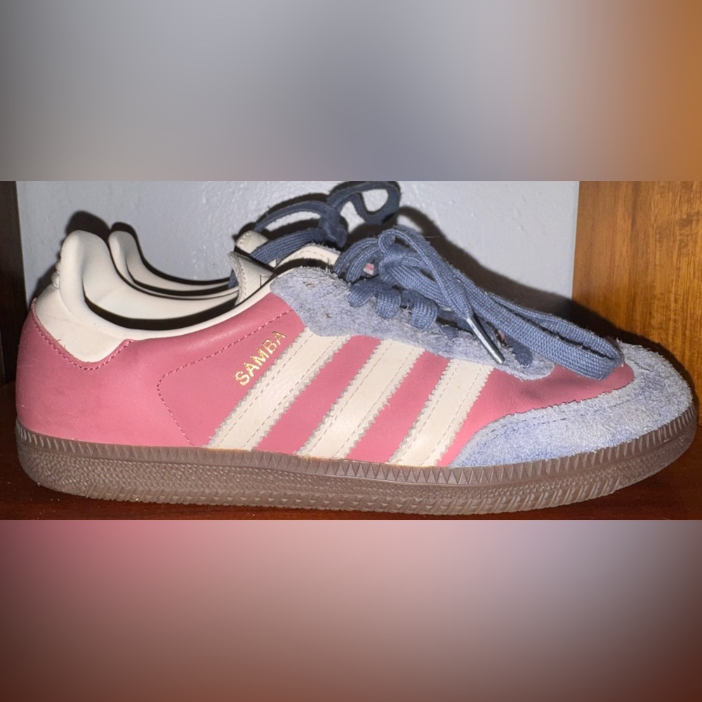 Adidas Samba Pink and Blue Shoes